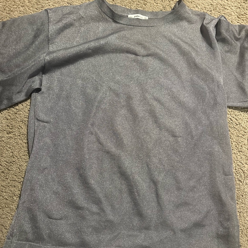 Zara Metallic Gray Knit Top